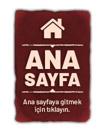 Ana Sayfa